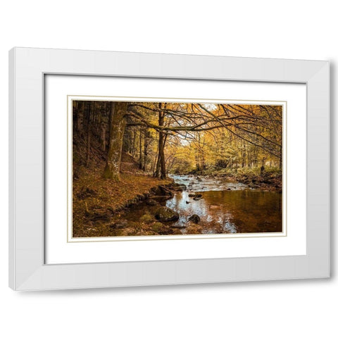 Black Forest River White Modern Wood Framed Art Print with Double Matting by Murdock, Ramona