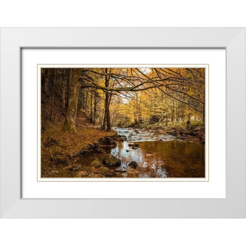 Black Forest River White Modern Wood Framed Art Print with Double Matting by Murdock, Ramona