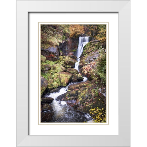 Black Forest Upper Falls White Modern Wood Framed Art Print with Double Matting by Murdock, Ramona