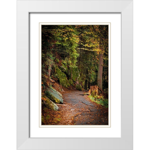 Foret Path White Modern Wood Framed Art Print with Double Matting by Murdock, Ramona