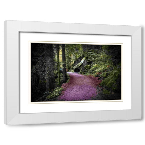 Path to Serenity White Modern Wood Framed Art Print with Double Matting by Murdock, Ramona