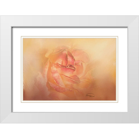 Golden Sunshine White Modern Wood Framed Art Print with Double Matting by Murdock, Ramona