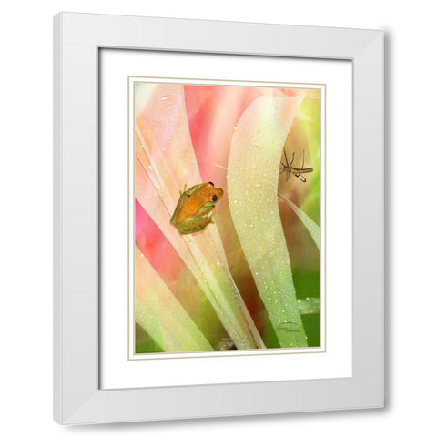 Got My Eye On You White Modern Wood Framed Art Print with Double Matting by Murdock, Ramona