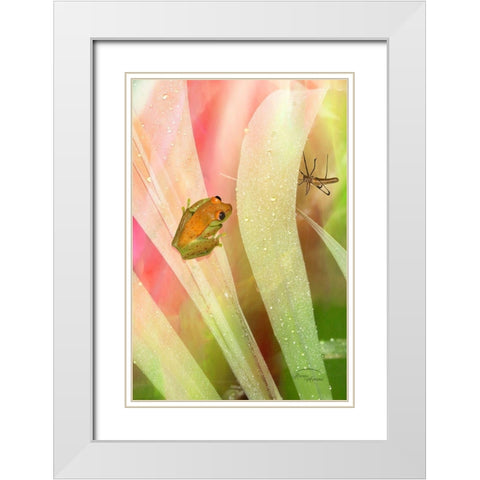 Got My Eye On You White Modern Wood Framed Art Print with Double Matting by Murdock, Ramona