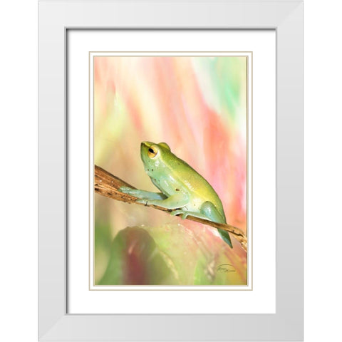 Basking in Light White Modern Wood Framed Art Print with Double Matting by Murdock, Ramona