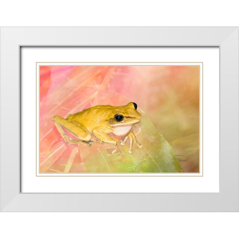 Waiting for Lunch White Modern Wood Framed Art Print with Double Matting by Murdock, Ramona
