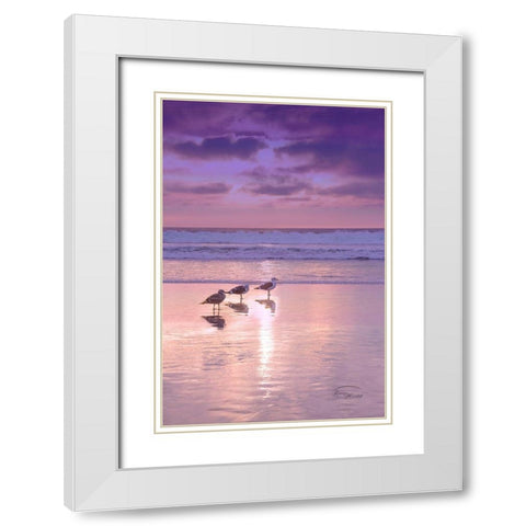 Seagull Beach II White Modern Wood Framed Art Print with Double Matting by Murdock, Ramona