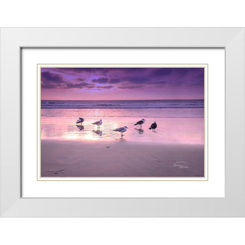 Seagull Beach I White Modern Wood Framed Art Print with Double Matting by Murdock, Ramona