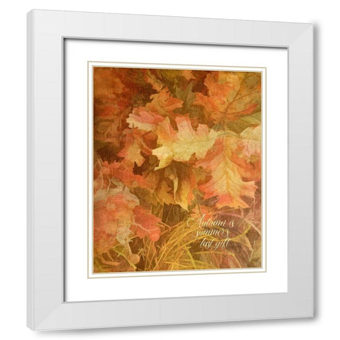 Summers Gift White Modern Wood Framed Art Print with Double Matting by Murdock, Ramona