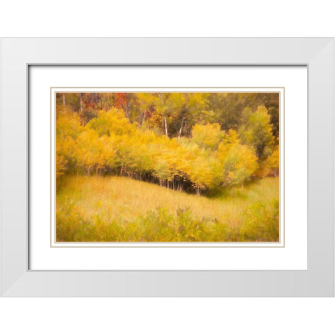 Fall Thicket White Modern Wood Framed Art Print with Double Matting by Murdock, Ramona