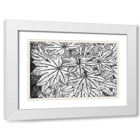 Botanical BW II White Modern Wood Framed Art Print with Double Matting by Murdock, Ramona