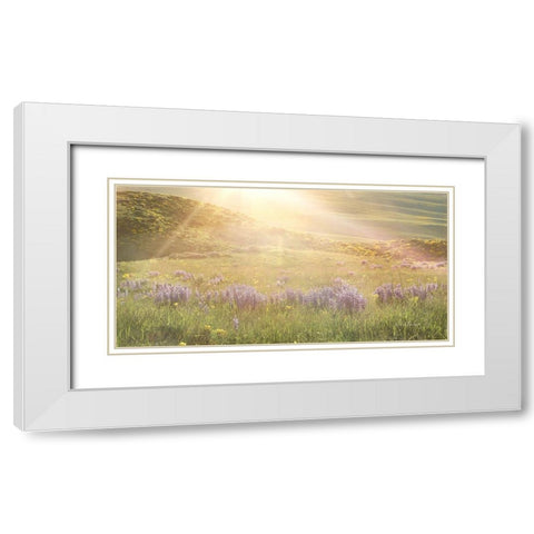 Sunshine White Modern Wood Framed Art Print with Double Matting by Murdock, Ramona