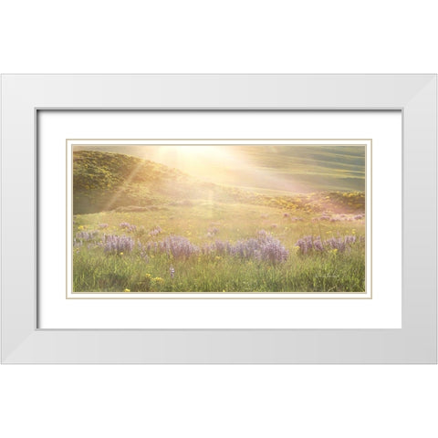 Sunshine White Modern Wood Framed Art Print with Double Matting by Murdock, Ramona