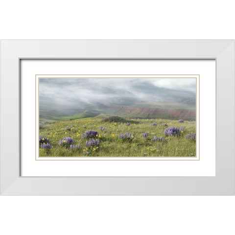 Misty Valley I White Modern Wood Framed Art Print with Double Matting by Murdock, Ramona