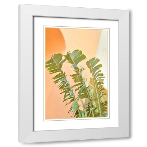 Tropical Dream II White Modern Wood Framed Art Print with Double Matting by Murdock, Ramona