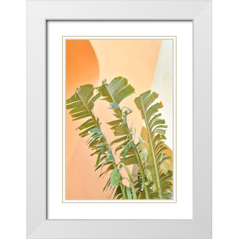Tropical Dream II White Modern Wood Framed Art Print with Double Matting by Murdock, Ramona