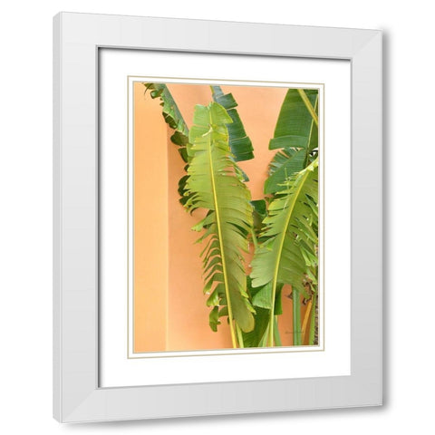 Tropical Dream III White Modern Wood Framed Art Print with Double Matting by Murdock, Ramona