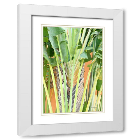 Tropical Dream IV White Modern Wood Framed Art Print with Double Matting by Murdock, Ramona