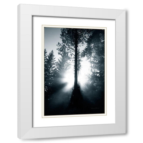 Light in the Forest White Modern Wood Framed Art Print with Double Matting by Murdock, Ramona