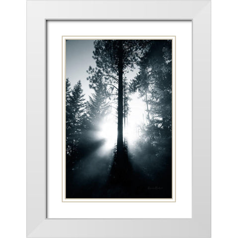 Light in the Forest White Modern Wood Framed Art Print with Double Matting by Murdock, Ramona