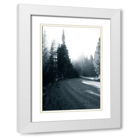 Light in the Forest II White Modern Wood Framed Art Print with Double Matting by Murdock, Ramona