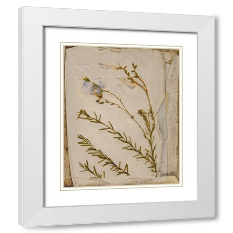 Book of Memories White Modern Wood Framed Art Print with Double Matting by Murdock, Ramona