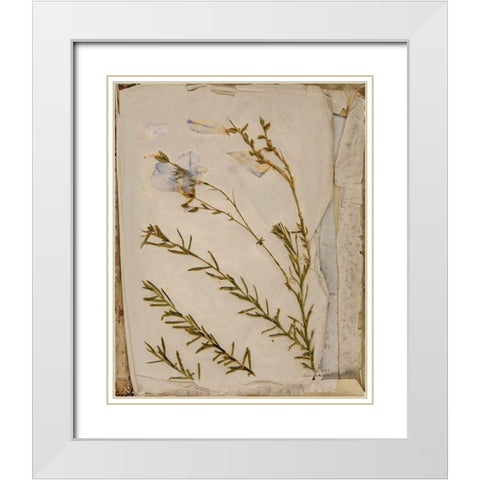 Book of Memories White Modern Wood Framed Art Print with Double Matting by Murdock, Ramona