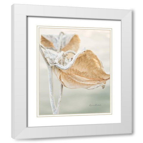 Milkweed Pod White Modern Wood Framed Art Print with Double Matting by Murdock, Ramona
