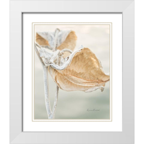 Milkweed Pod White Modern Wood Framed Art Print with Double Matting by Murdock, Ramona