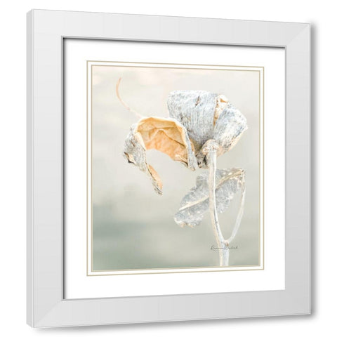 Milkweed Pod II White Modern Wood Framed Art Print with Double Matting by Murdock, Ramona