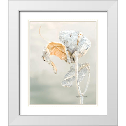 Milkweed Pod II White Modern Wood Framed Art Print with Double Matting by Murdock, Ramona