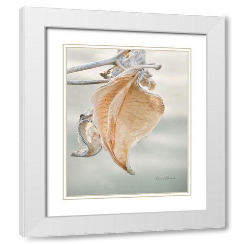 Milkweed Pod III White Modern Wood Framed Art Print with Double Matting by Murdock, Ramona