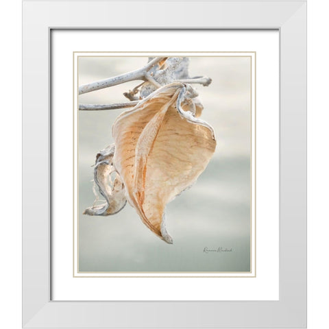 Milkweed Pod III White Modern Wood Framed Art Print with Double Matting by Murdock, Ramona