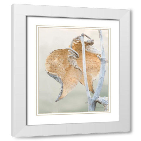 Milkweed IV White Modern Wood Framed Art Print with Double Matting by Murdock, Ramona