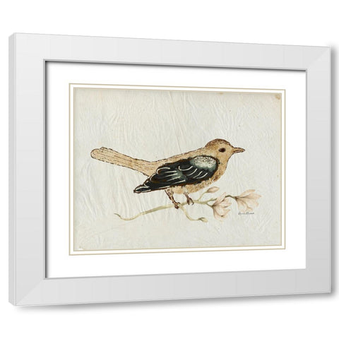 Bird Study No. 1 White Modern Wood Framed Art Print with Double Matting by Murdock, Ramona