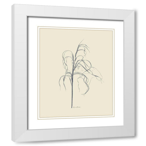 Dried Grasses II White Modern Wood Framed Art Print with Double Matting by Murdock, Ramona