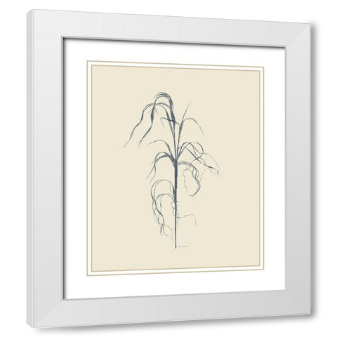 Dried Grasses VI White Modern Wood Framed Art Print with Double Matting by Murdock, Ramona