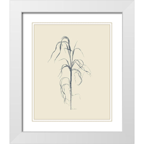 Dried Grasses VI White Modern Wood Framed Art Print with Double Matting by Murdock, Ramona