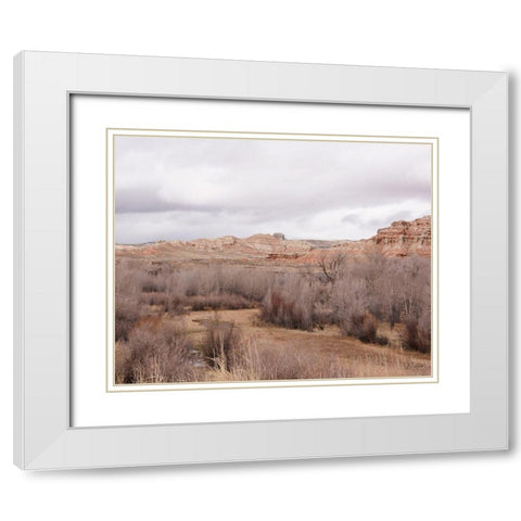 Wyoming Wilderness No. 5 White Modern Wood Framed Art Print with Double Matting by Murdock, Ramona