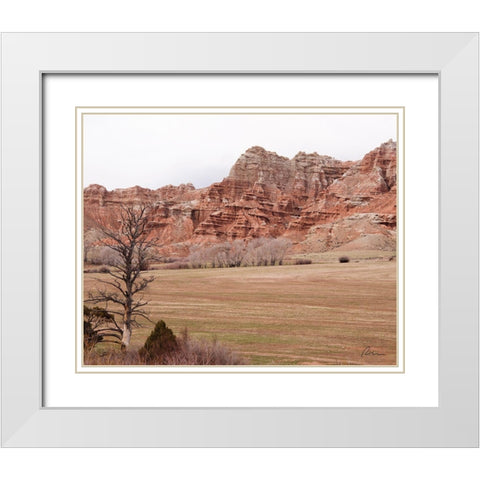 Wyoming Wilderness No. 10 White Modern Wood Framed Art Print with Double Matting by Murdock, Ramona