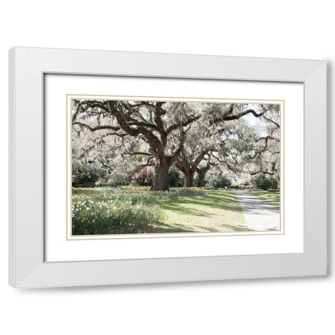 Brookgreen Garden White Modern Wood Framed Art Print with Double Matting by Murdock, Ramona