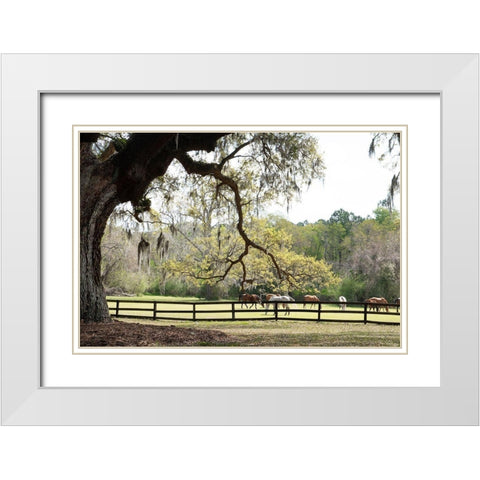 Brookgreen Pasture II White Modern Wood Framed Art Print with Double Matting by Murdock, Ramona