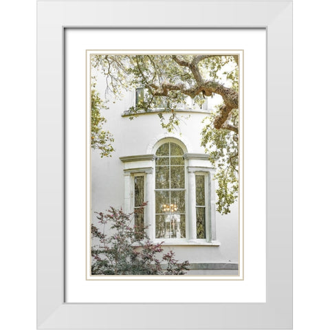Charleston Garden Windows White Modern Wood Framed Art Print with Double Matting by Murdock, Ramona