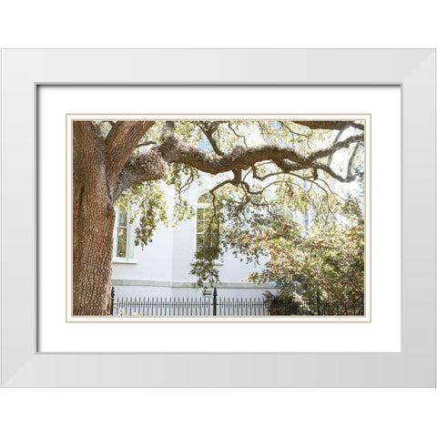 Charleston Garden Windows III White Modern Wood Framed Art Print with Double Matting by Murdock, Ramona