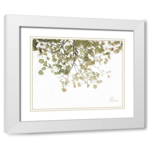 Aspen Leaves White Modern Wood Framed Art Print with Double Matting by Murdock, Ramona