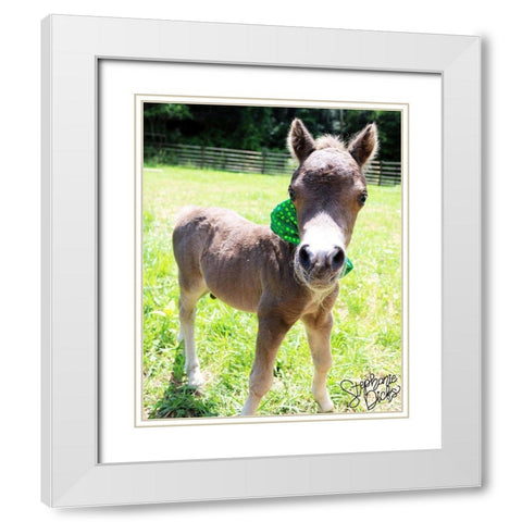 Mini Horse I White Modern Wood Framed Art Print with Double Matting by Dicks, Stephanie