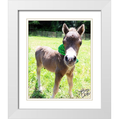 Mini Horse I White Modern Wood Framed Art Print with Double Matting by Dicks, Stephanie