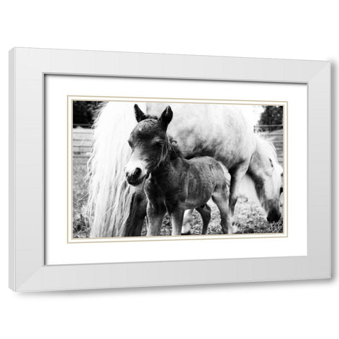 Mini Horse II White Modern Wood Framed Art Print with Double Matting by Dicks, Stephanie