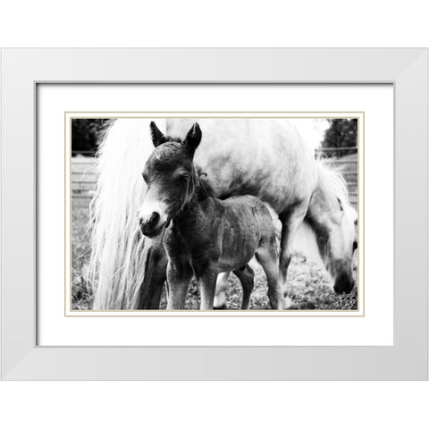 Mini Horse II White Modern Wood Framed Art Print with Double Matting by Dicks, Stephanie