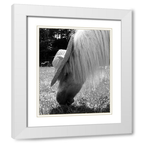 Mini Horse III White Modern Wood Framed Art Print with Double Matting by Dicks, Stephanie